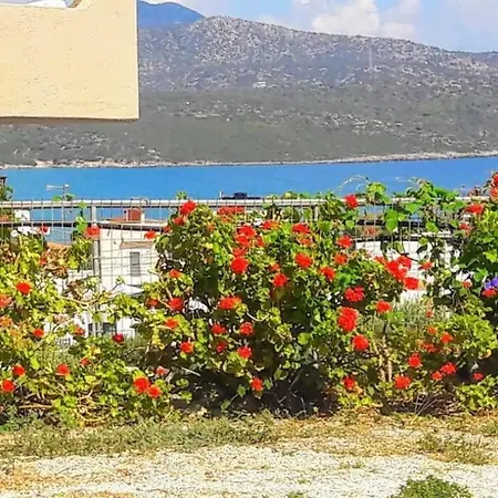 Summer Aura - Seaside Place Istron